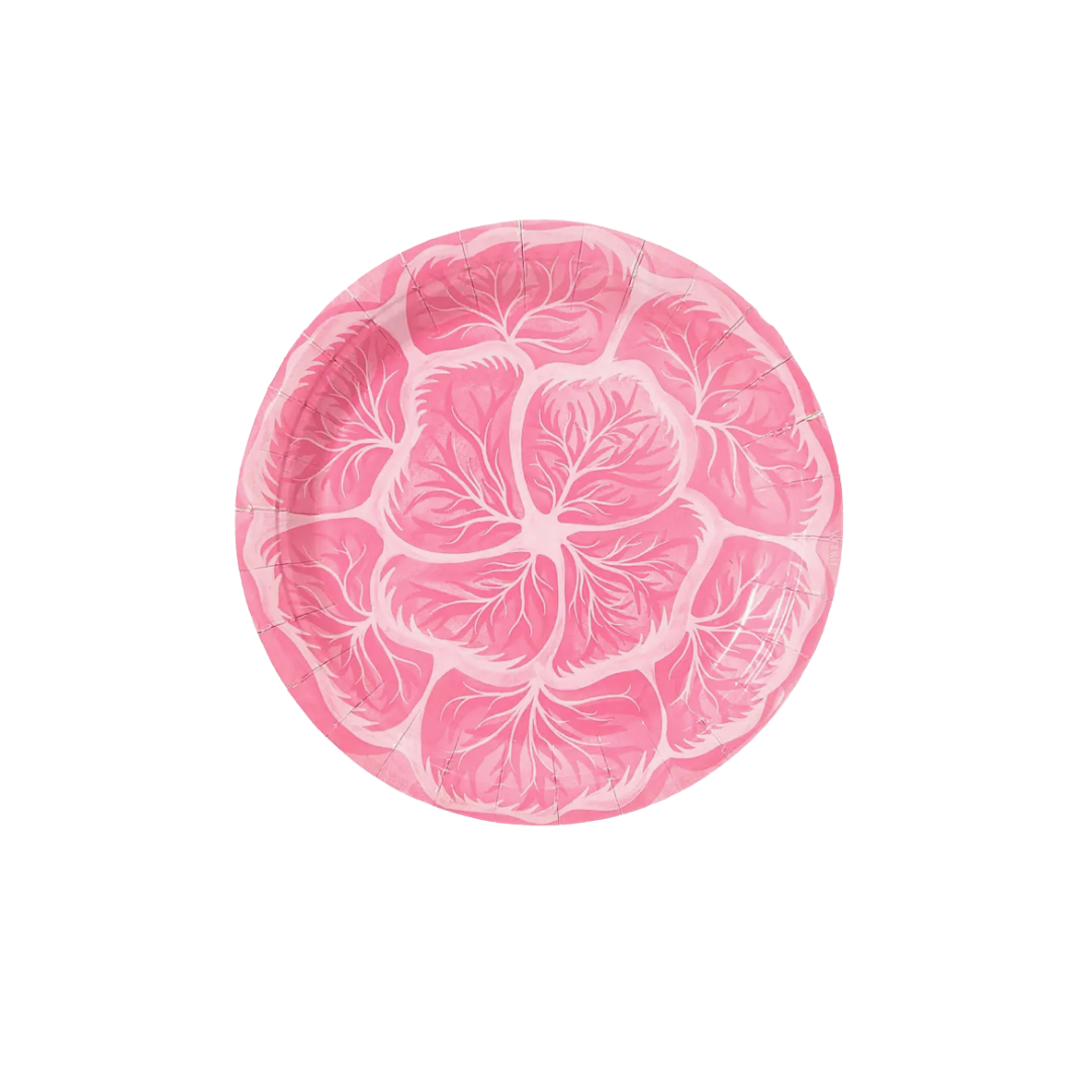 Melissa's Garden Cabbage Salad and Dessert Paper Plates in Chateau Rose